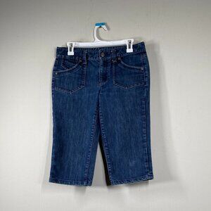 Vintage Ann Taylor MODERN FIT Lindsay Denim Jean Shorts Women's 6 Low Rise Blue